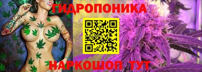 хмурый Партизанск