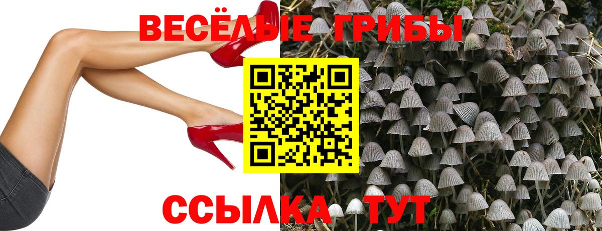 Псилоцибиновые грибы прущие грибы  Вход с VPN  Рузаевка 